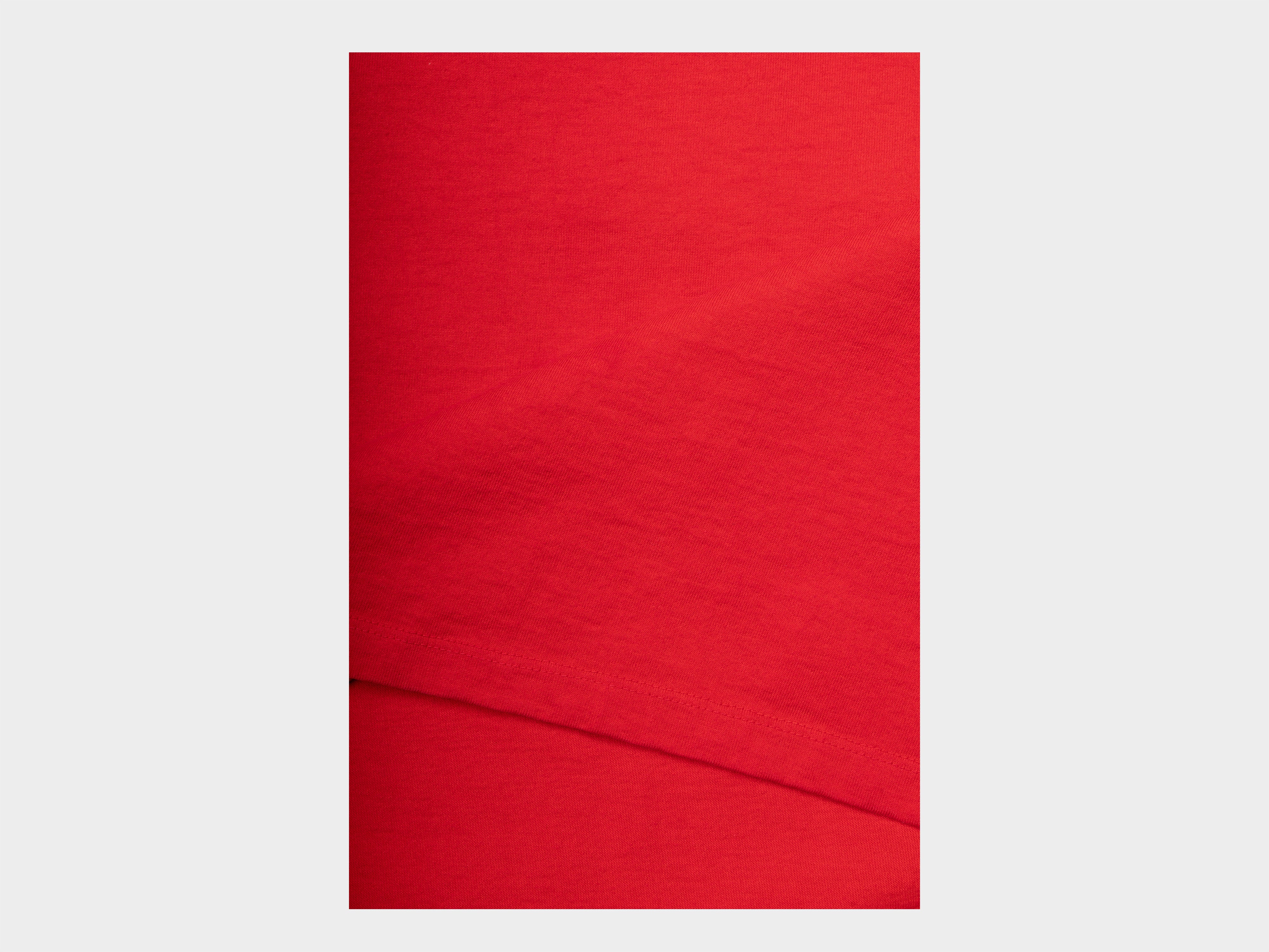 R22T4 "S/S Big T-Shirt" Fire